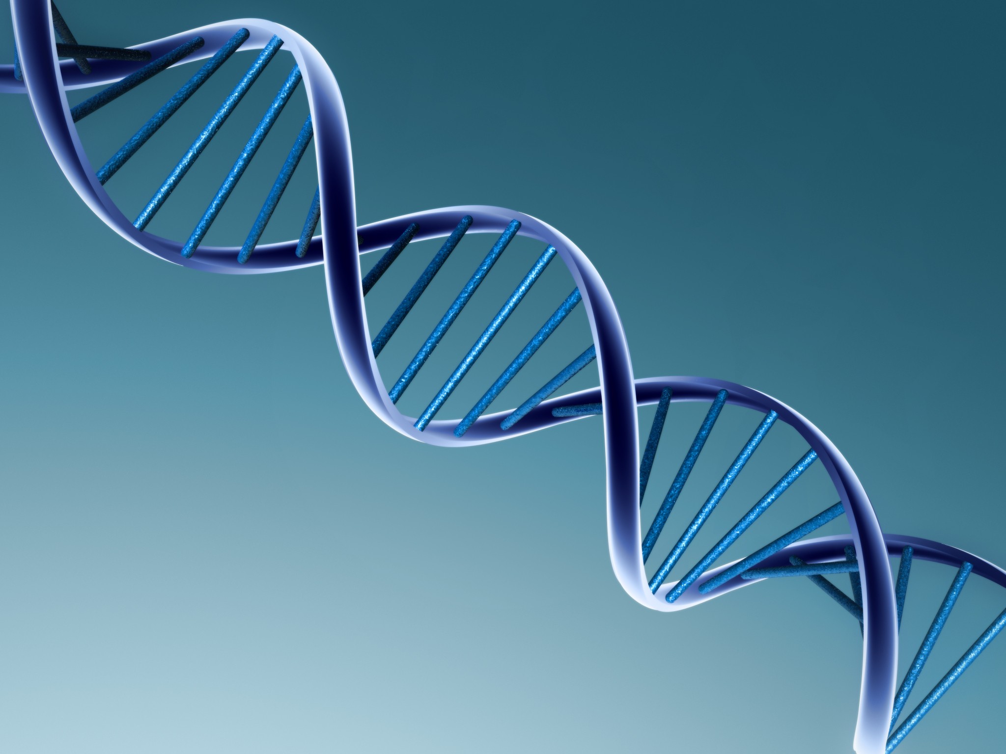 Genetics 